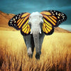 Olifant | Diamond Painting