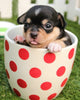 Puppy In Kopje | Diamond Painting